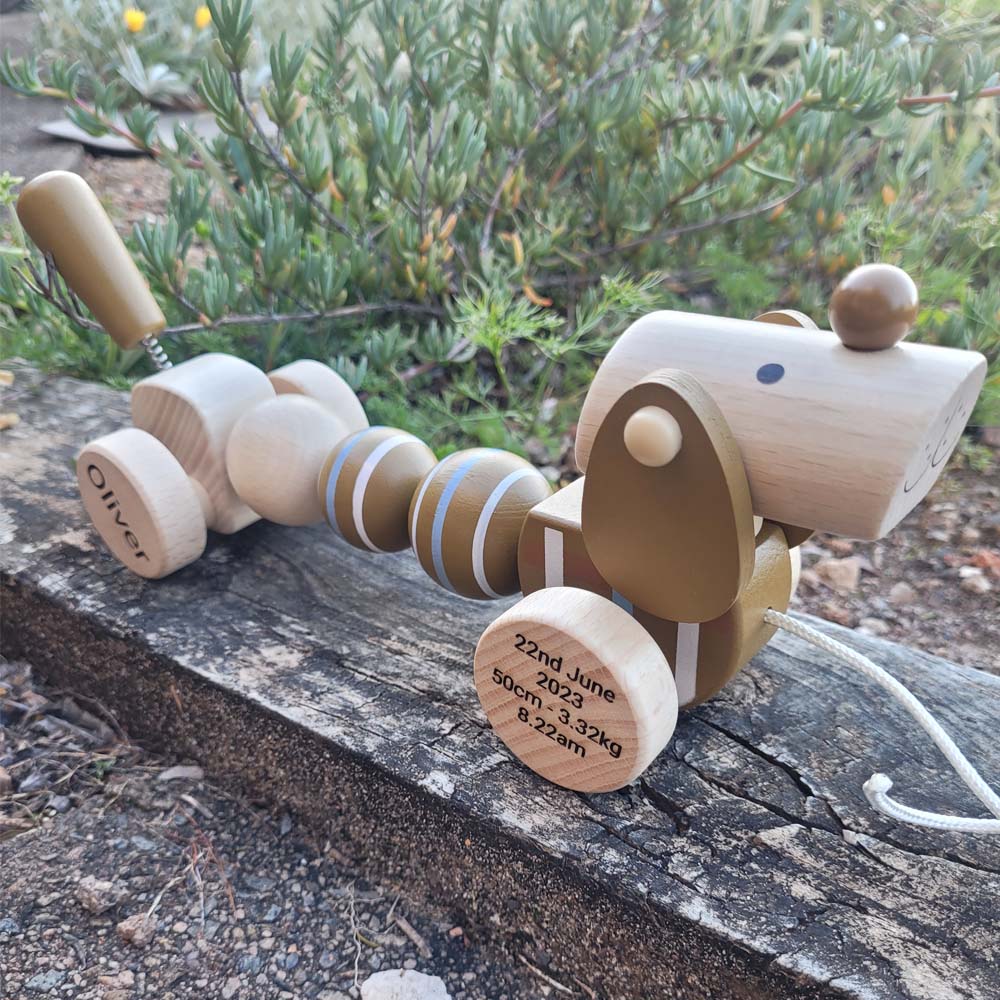 Personalised Wooden Pull Along Dog